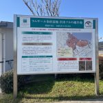 出水ツルの越冬地